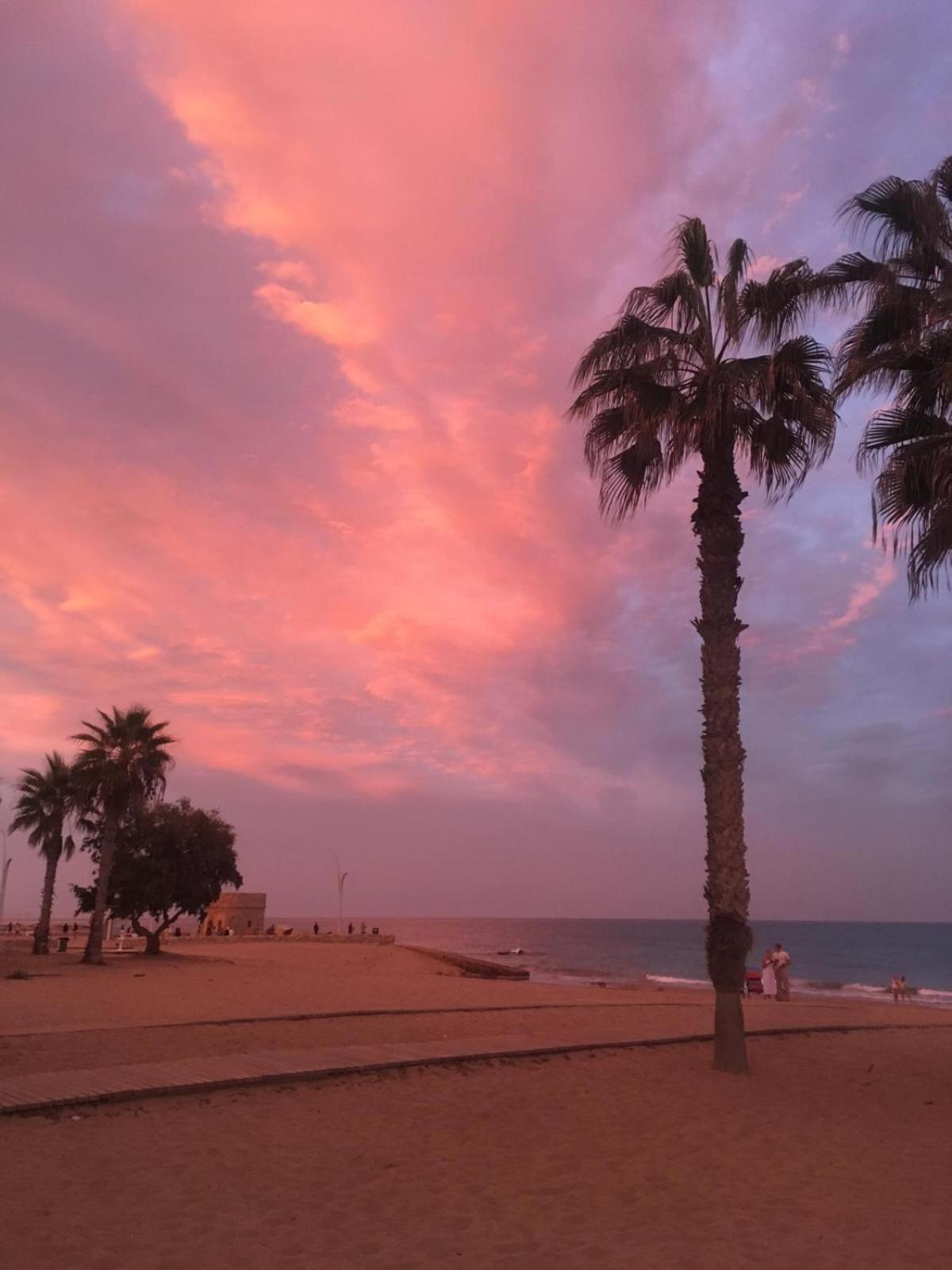 Apj Emperadores Apartment With Swimming Pool, 100 M From Beach La Mata La Mata  Extérieur photo